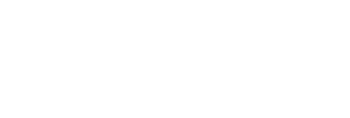 VoyraCloud Logo